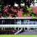 Фото Best Western Hotel Scheelsminde