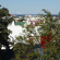 Photos Guesthouse Odinn