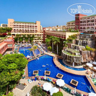 Photos Best Jacaranda