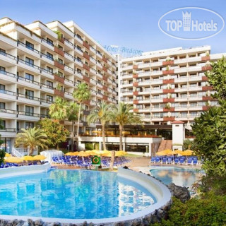 Photos Spring Bitacora