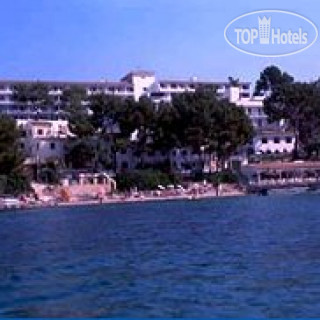 Фото HSM President