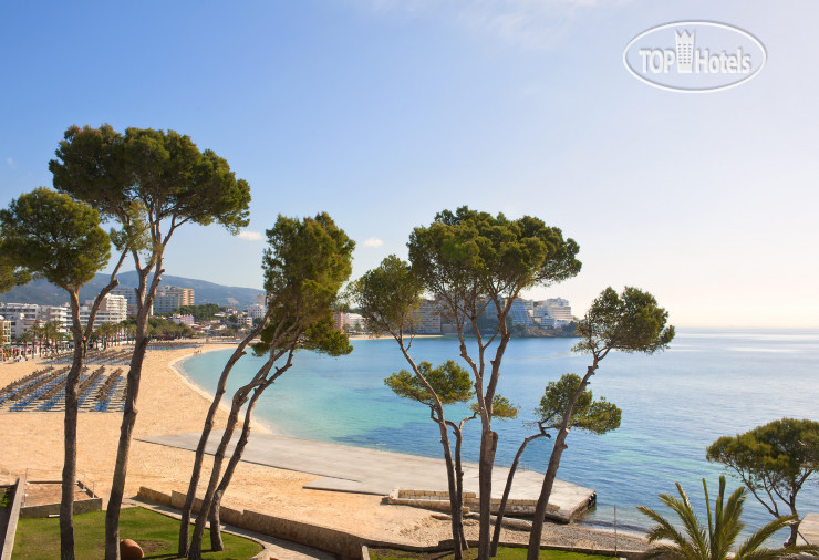 Photos Melia Calvia Beach