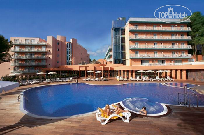 Photos Palmira Paradise