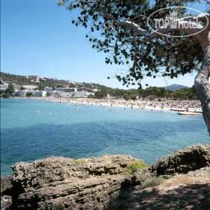Photos Globales Santa Ponsa Park