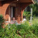 Photos Soller Garden