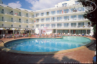 Фото Clumba
