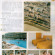 Photos Palamos