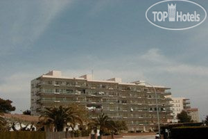 Фото Rosmarin