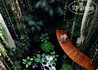 New photos from tourists Gran Melia Salinas 5*