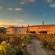Фото Abadia Retuerta LeDomaine