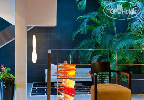 Фото Areca