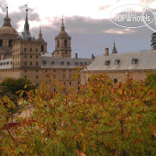 Photos Best Western Florida