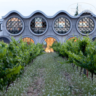 Фото Cava & Hotel MasTinell