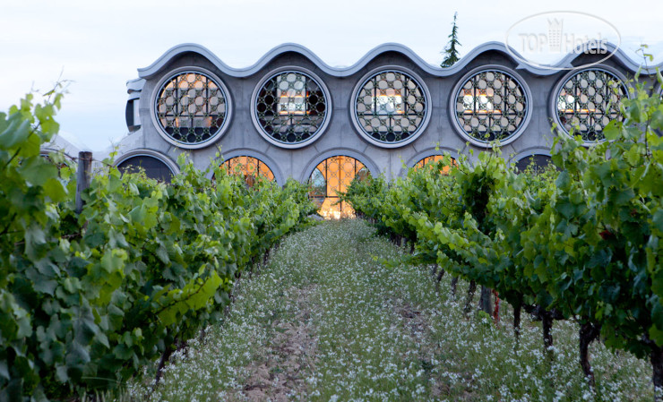 Фото Cava & Hotel MasTinell
