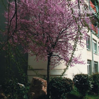 Фото Balneario Sicilia