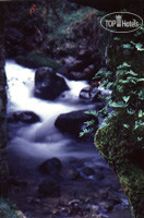 New photos from tourists Albergue Bilbao Aterpetxea 2*
