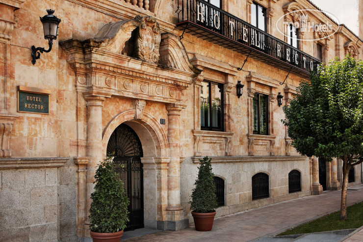 Hotelier's photos Rector Hotel 4*