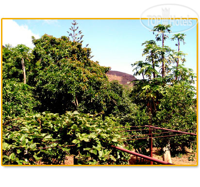 New photos from tourists Finca El Vergel Rural