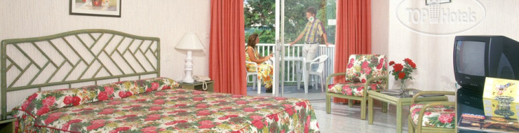 New photos from tourists Complej Eden 3*
