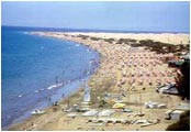 New photos from tourists Los Cactus 2*