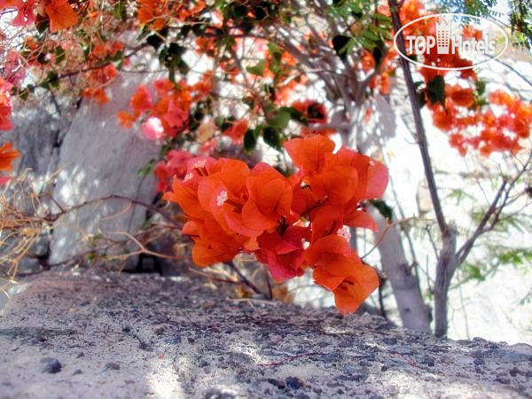 Hotel photo Canaima 2*