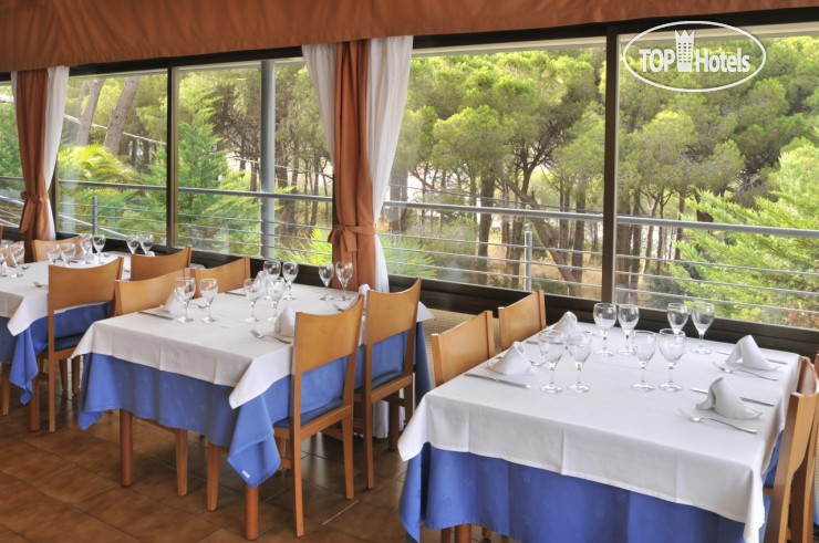 New photos from tourists SAgaro Mar 4*