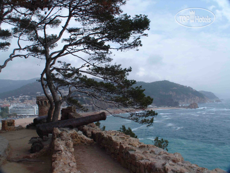 New photos from tourists Mediterraneo 1*
