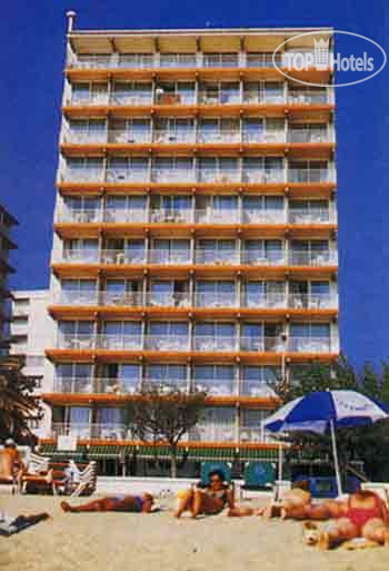 New photos from tourists Nautilus (apt) APT