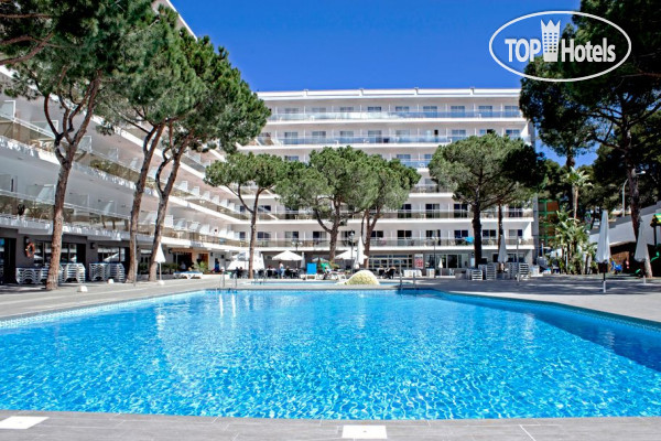Hotelier's photos Hotel Oasis Park 4*