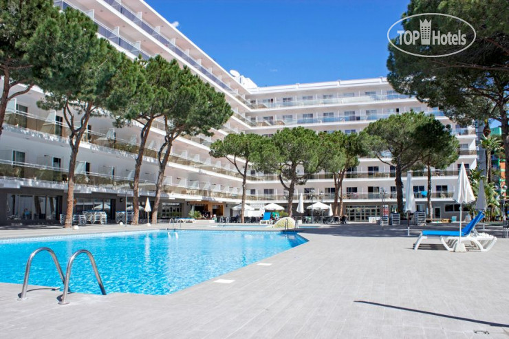 New photos from tourists Hotel Oasis Park 4*
