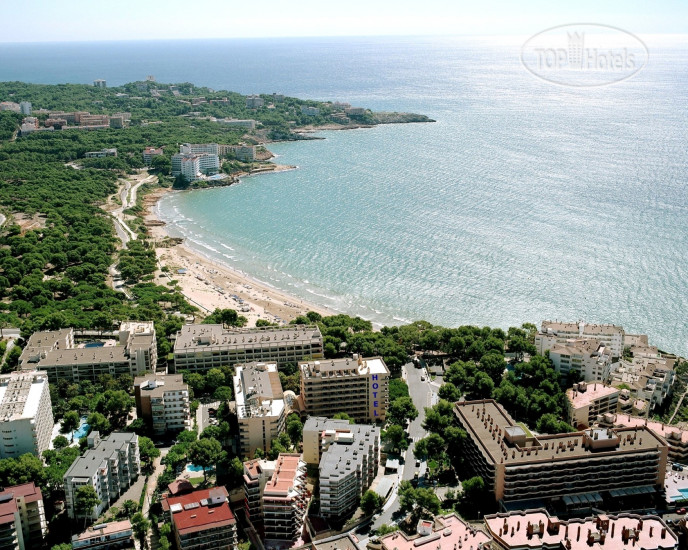 New photos from tourists 4R Hotel Playa Park 3*
