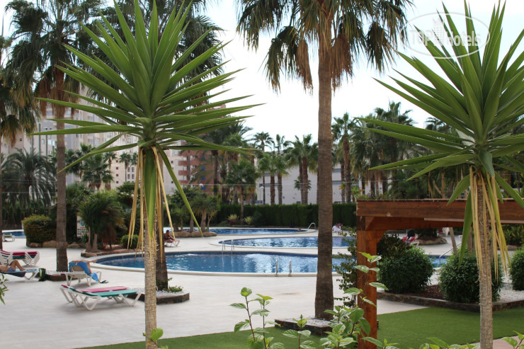 New photos from tourists Coral Beach APT