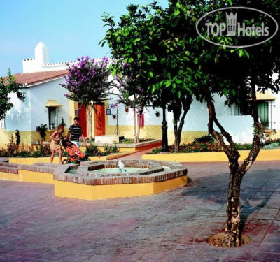 New photos from tourists Marbella Playa 4*