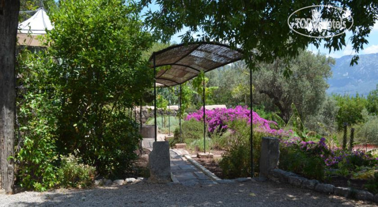 New photos from tourists Son Bleda