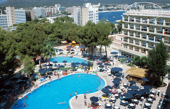 New photos from tourists Alua Sun Torrenova 4*