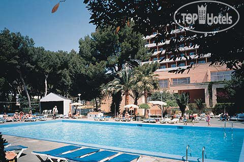 New photos from tourists Riu Playa Park 3*