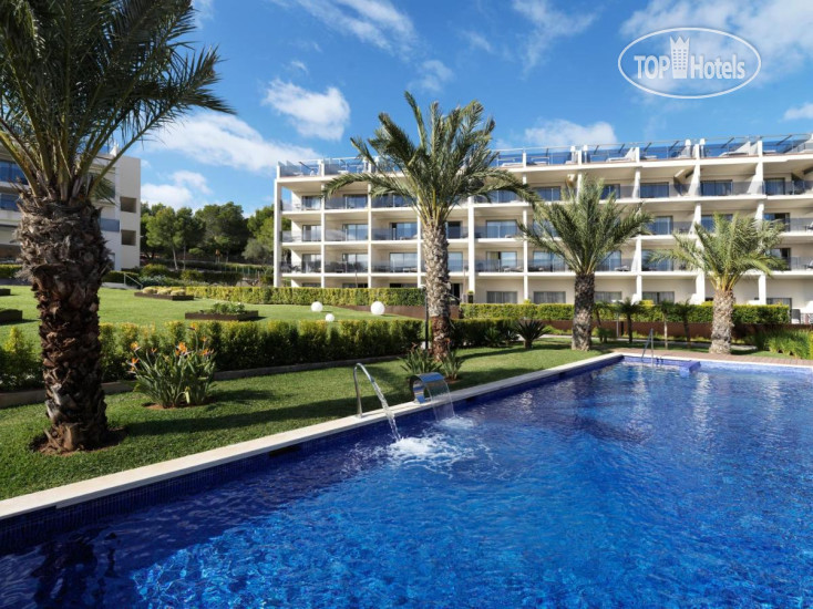 New photos from tourists Zafiro Palace Palmanova 5*