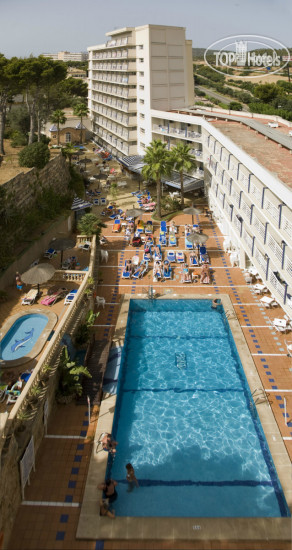 New photos from tourists Globales Palmanova Palace 4*