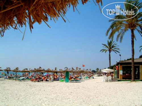 New photos from tourists Marina Delfin Verde Alcudia 3*