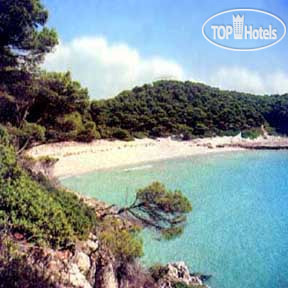 Hotel photo Isla Dorada 3*