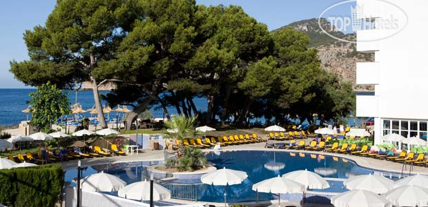 New photos from tourists Roc Gran Camp de Mar 4*