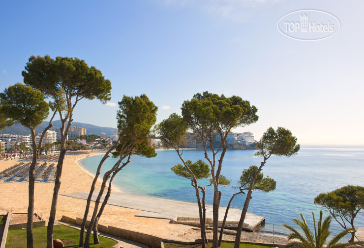 Hotel photo Melia Calvia Beach 4*