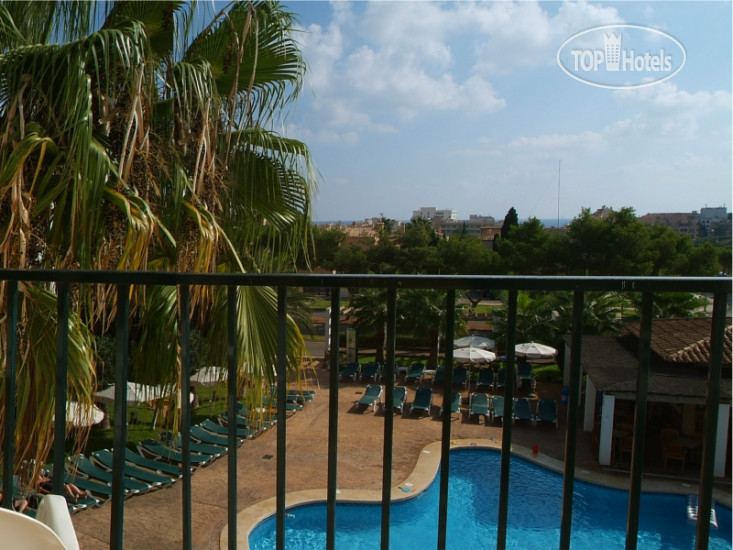 New photos from tourists Protur Bahia Azul 3*