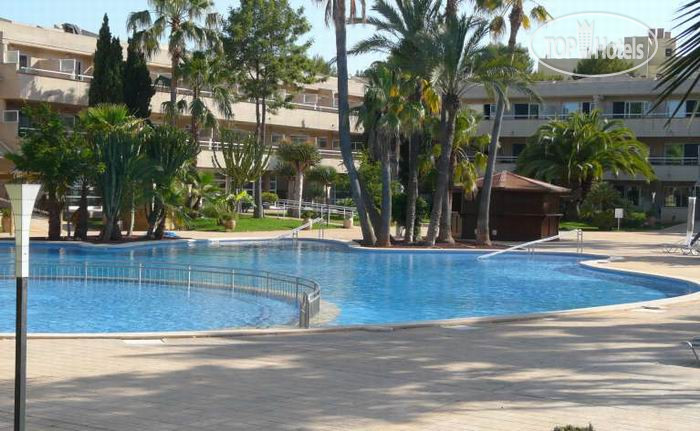 New photos from tourists FERGUS Club Palmanova Park 4*