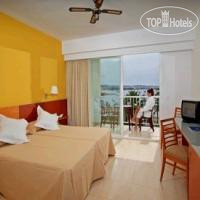 New photos from tourists Palladium Hotel Palmyra 4*