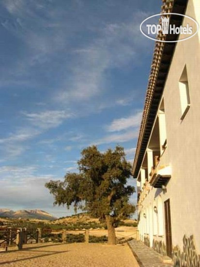 Photos El Geco Verde