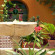 Photos Best Western Cervantes