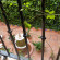 Photos El Rincon de las Descalzas