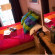 Фото Hostal ColorsHost