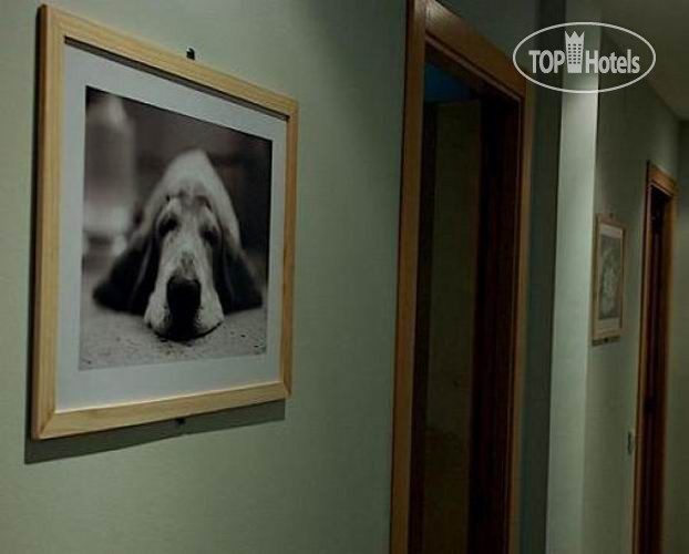 New photos from tourists Blue Moon Apartments 2*